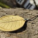 Ceramiczny wisior na szyję - żółta biżuteria handmade