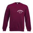 Bluza z nadrukiem dla kucharza, prezent najlepszy kucharz, urodziny, restauracja