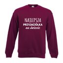 Bluza z nadrukiem dla przyjaciółki, psiapsi, najlepszej koleżanki, sister, prezent