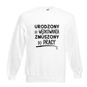 Bluza z nadrukiem dla wędkarza, prezent najlepszy wędkarz, wędkarstwo, łowienie
