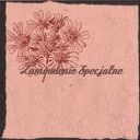 Zamówienie specjalne