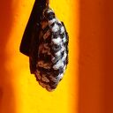 Zawieszka szydełkowa biało-czarna z ornamentem (KR/21/26)