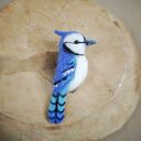 Blue Jay - filcowania broszka