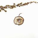 Broszka srebrna - Jabłuszko małe