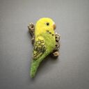 Papużka - broszka filcowana