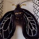 Broszka ręcznie wykonana z aksamitu i koralików - ćma symbol odrodzenia i przemiany