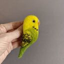 Papużka - broszka filcowana