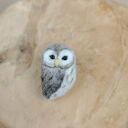 Sówka Puszczyk kreskowany - filcowania broszka