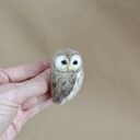 Sówka Puszczyk kreskowany - filcowania broszka