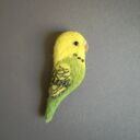 Papużka - broszka filcowana