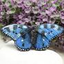 niebieski motyl broszka motylek duża - kolorowa