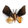 Motyl i wisiorek cytryn krzemień czarny - broszka podwójna funkcja