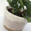 Artystyczna pastelowa osłonka ceramiczna na sukulent