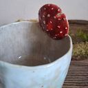 Kubek ceramiczny - Muchomor