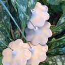 ceramiczne kwiaty 4 szt