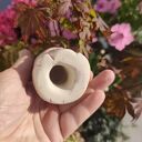 Różowa żaba ceramiczna do doniczki i na prezent