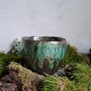 Czarka ceramiczna - Mech