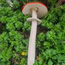 Grzybek ceramiczny na druciku - ozdoba do doniczki