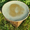 talerz ceramiczny