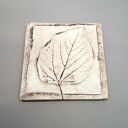 Natura - komplet 6 ceramicznych podkładek z motywem liści