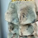 Wazon ceramiczny z kolekcji Organica - ręcznie lepiony poLEPIONE