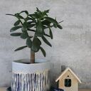 Otuliny - doniczka ceramiczna handmade, ręcznie lepiona i szkliwiona na niebiesko
