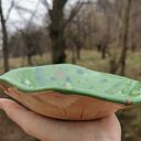 Ceramiczna misa c208 z motywem paproci - Shiraja