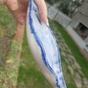 Patera ceramiczna w kształcie muszli - handmade unikat