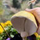 Ręcznie robiony dzwonek ceramiczny na ogród i balkon