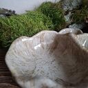 Nieregularna, organiczna miseczka z przegródkami - Piaskowa ceramika handmade