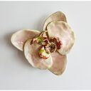Magnes orchidea