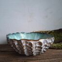 Miska ceramiczna - Muszla