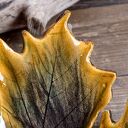 Ceramiczna patera klon ( c926)