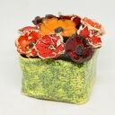 Kwiaty ceramiczne Flower Box S - komplet 9 sztuk w zielonym boxie