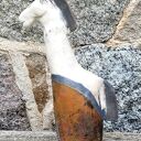 Koń raku