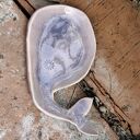 Pojemnik ceramiczny w kształcie delfinka na biżuterię