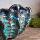 Misa ceramiczna - Ciemna muszla