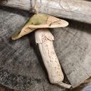 Ceramiczny grzybek zawieszka z motywem paproci