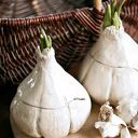 Pojemnik na czosnek, kuchenny pojemnik na warzywa