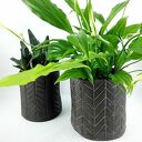 Komplet doniczek ceramicznych