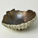 Unikalna misa ceramiczna w kształcie muszli