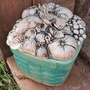 Naczynie ceramiczne do pieczenia i dekoracji