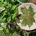 Ręcznie malowany talerz ceramiczny na ciasto i owoce - liść klonu (26 cm) 