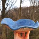 Misa ceramiczna (c196)