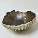 Unikalna misa ceramiczna w kształcie muszli