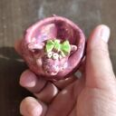 Świnka ceramiczna na biżuterię