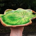 Ceramiczna patera z prawdziwym liściem (c333)