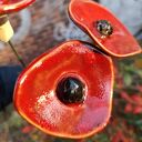 Kwiaty ceramiczne handmade - zestaw 3 szt. szkliwione i wypalane w piecu