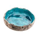 Patera ceramiczna