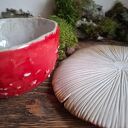 Zestaw kubek z talerzykiem - Muchomor (Amanita)